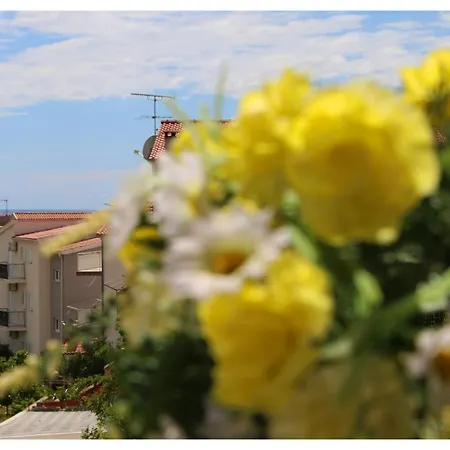 Apartment Ivan Bara -